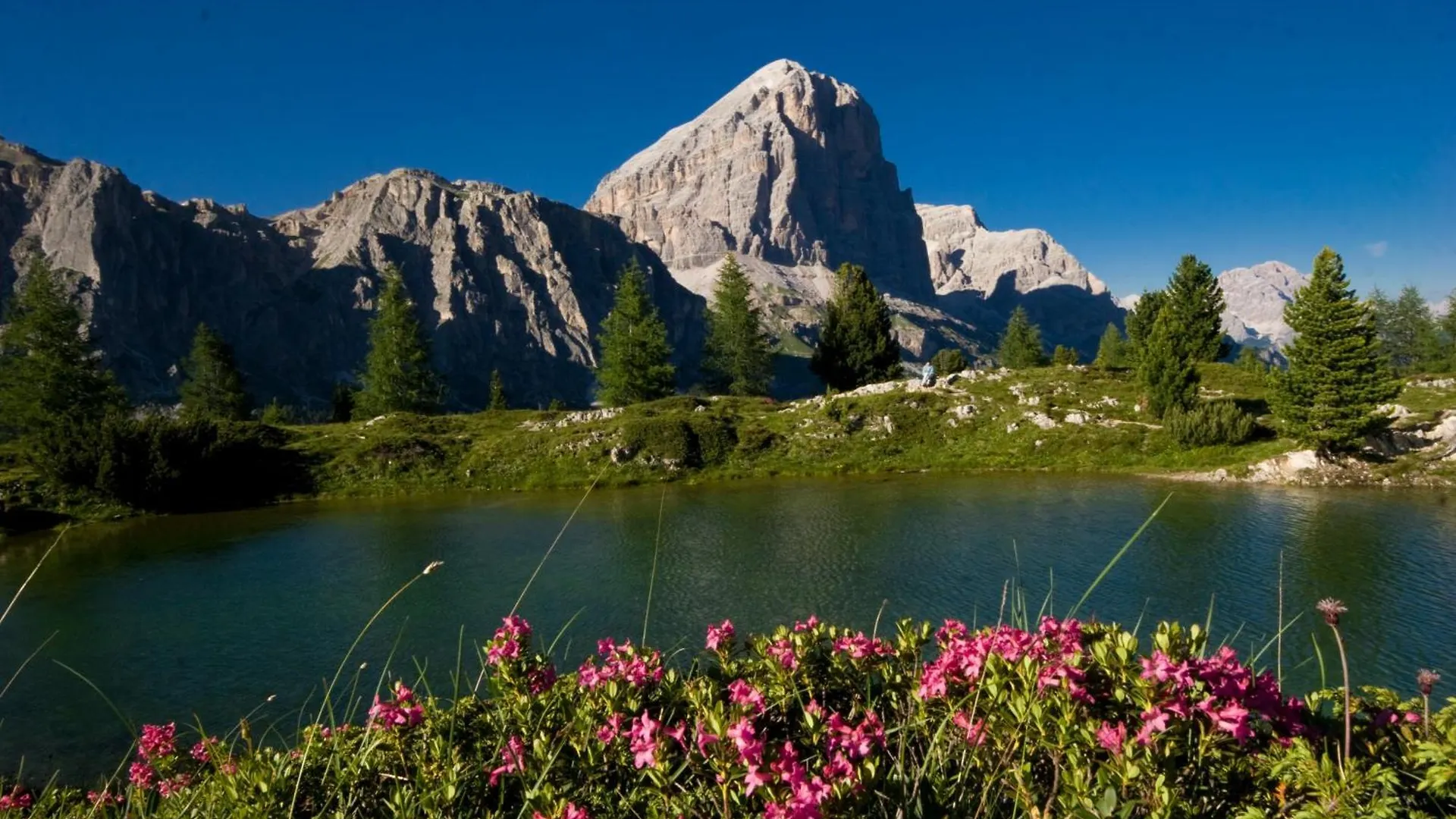 Ciasa Vervei Cortina d'Ampezzo Hotel